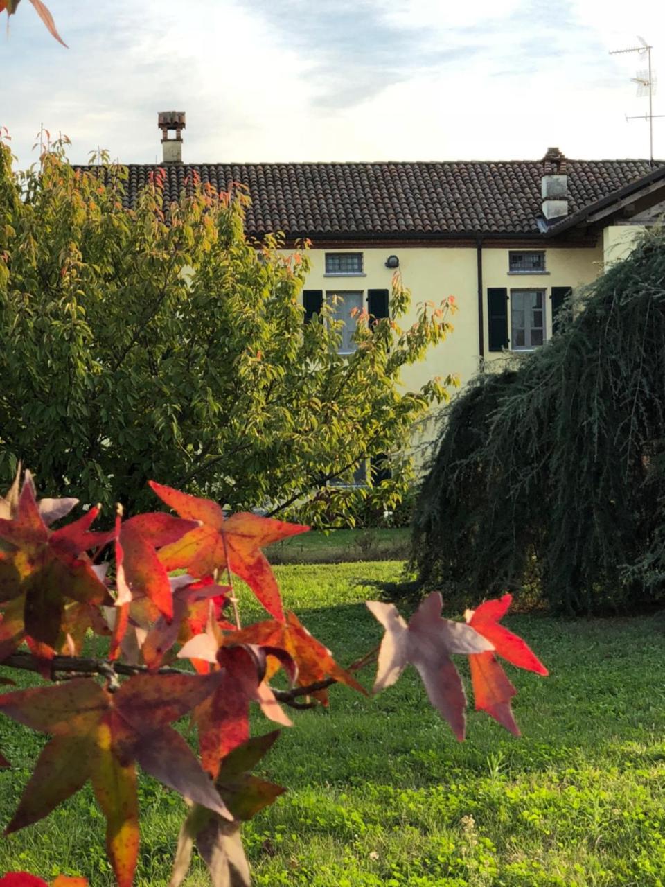 Cascina San Giorgio Villa Valenza Eksteriør billede