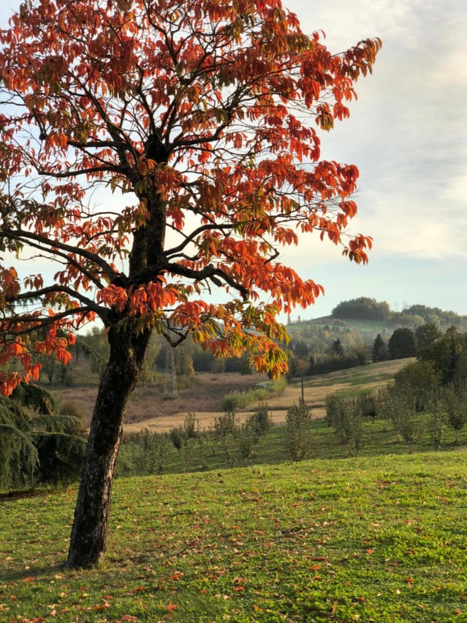 Cascina San Giorgio Villa Valenza Eksteriør billede